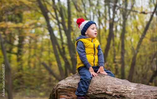 A little boy sits on a fallen tree trunk