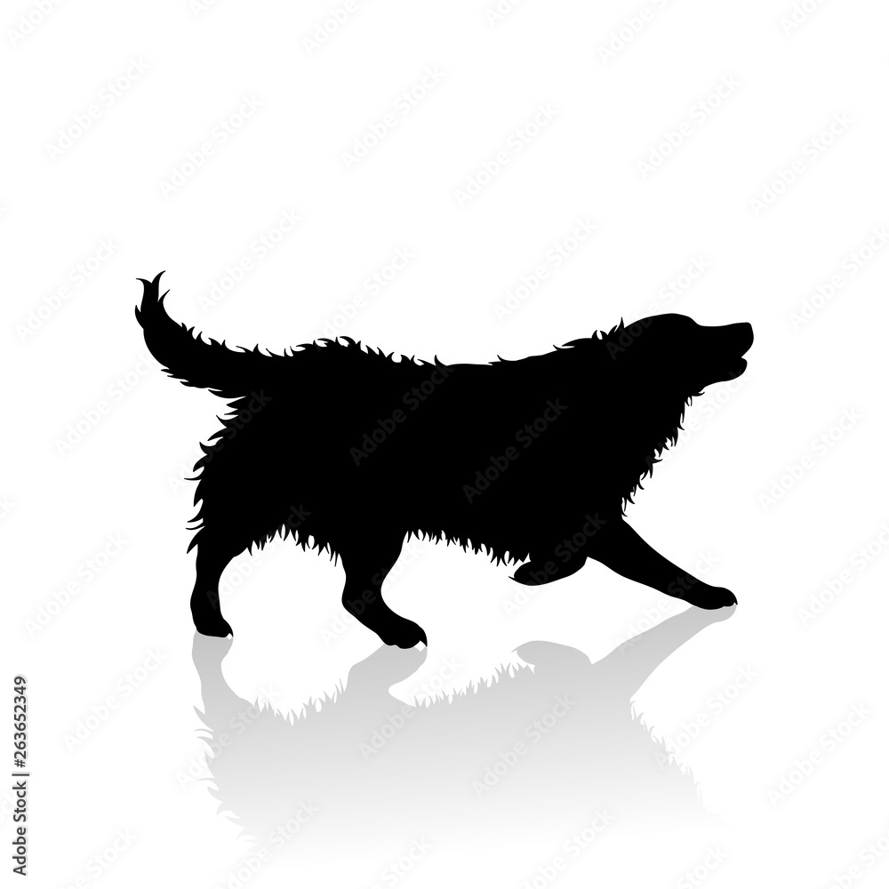 Vector silhoutte of runs dog on white background. Symbol of animal and veterinary.