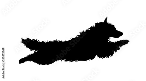 Vector silhoutte of jumps dog on white background. Symbol of animal and veterinary.