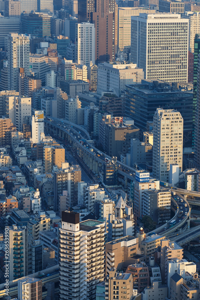 Tokyo city at sunset from above