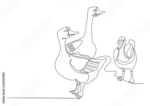 Draw a continuous line of three goose