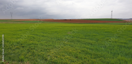 Vista del horizonte de un campo de agricultura, foto 2