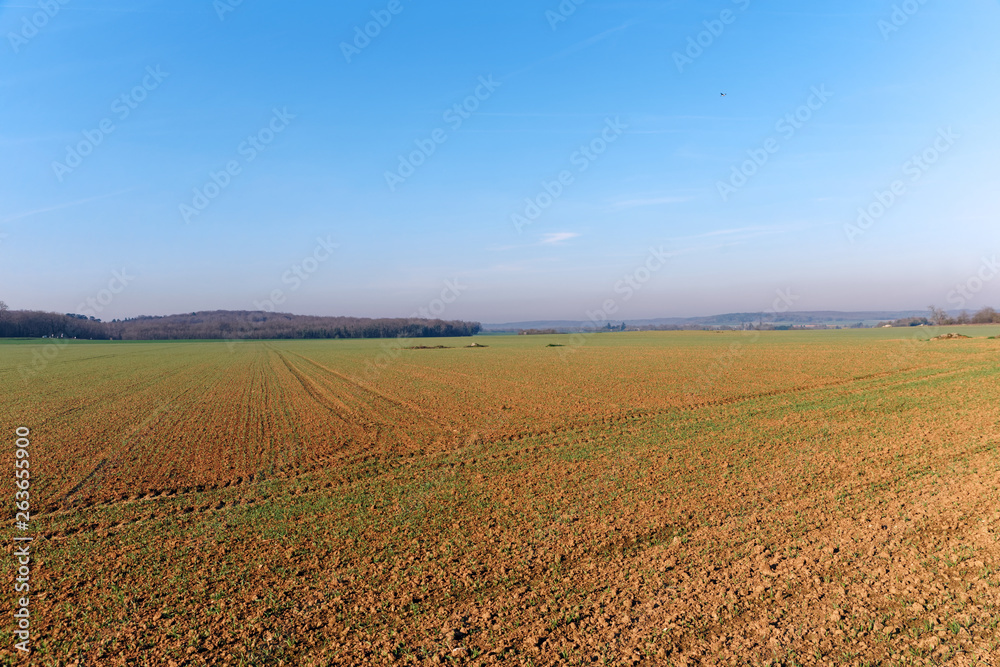 agricultural field in the French Gâtnais regional nature park