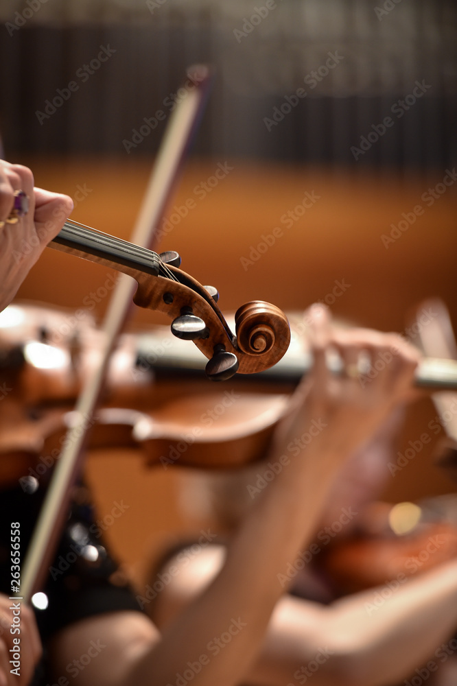 Ταπετσαρία Violin players hand detail during philharmonic orchestra performance