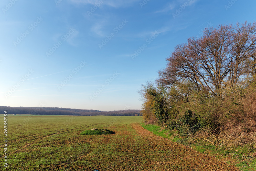 agricultural field in the French Gâtnais regional nature park agricultural field in the French Gâtnais regional nature park