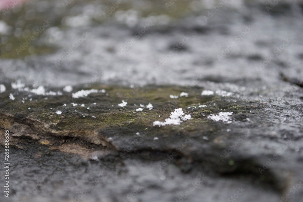 Snow flakes on a rock Snow flakes on a rock