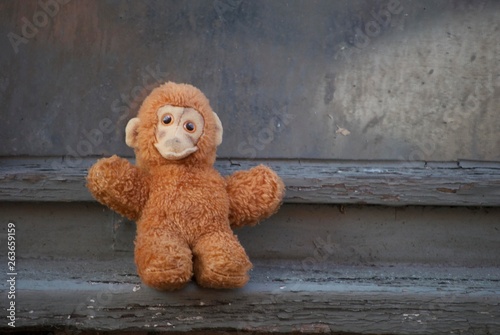 Canvas Print Lost soft toy monkey