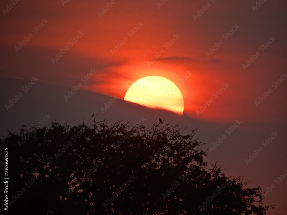 Obraz premium Sunset