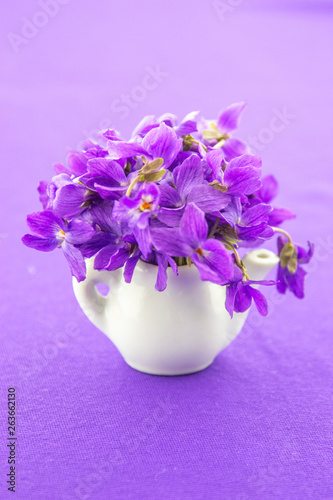 It's spring! Violets ... scents of spring!