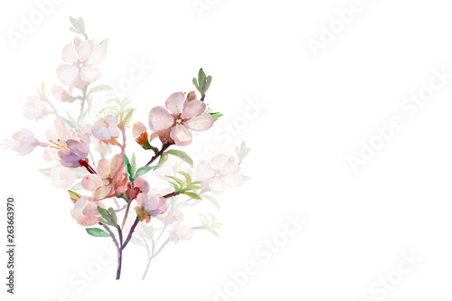 Watercolor spring tree branch.