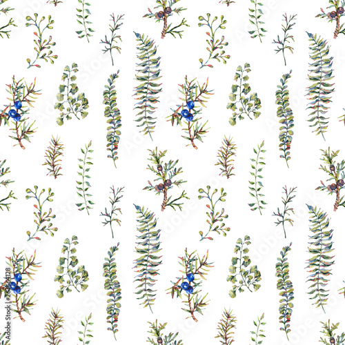 Watercolor vintage floral forest seamless pattern with fir branches, berries and fern.
