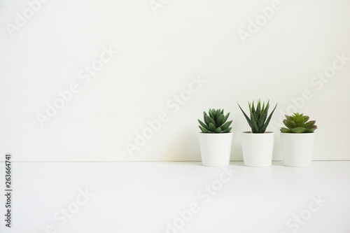 Wooden desk table top with tree pot on white wall, with copy space