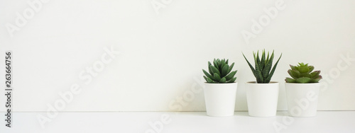 Wooden desk table top with tree pot on white wall, with copy space