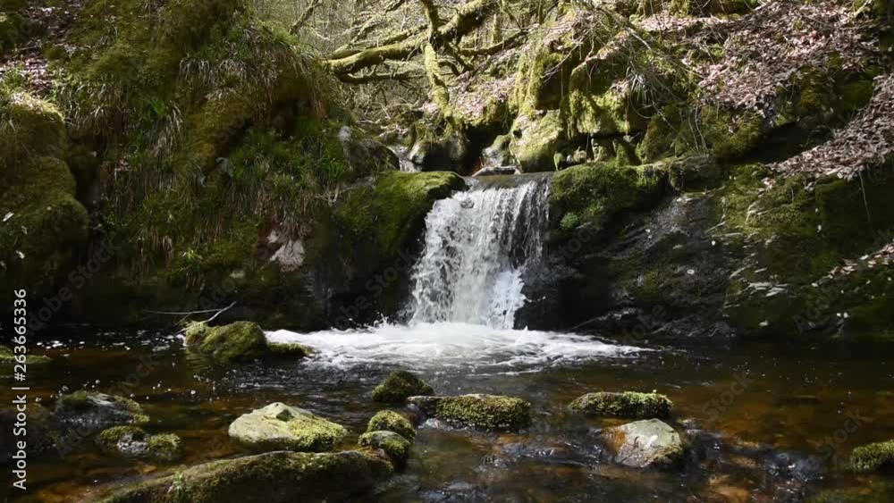 Small mountain river and waterfall in spring forest Small mountain river and waterfall in spring forest