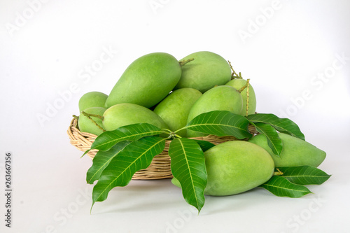 Green mango is in a wooden basket in a white background.