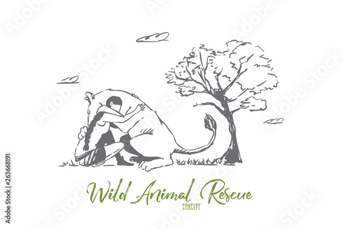 Animal, lion, wild, woman, save concept. Hand drawn isolated vector.