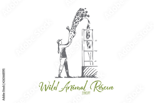 Animal, wild, giraffe, rescue, zoo concept. Hand drawn isolated vector.