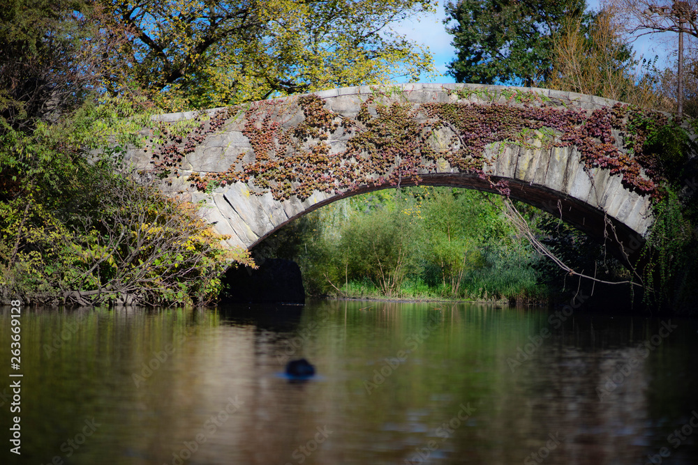 A stone bridge, Gapstow Bridge, in Central Park, NY. A stone bridge, Gapstow Bridge, in Central Park, NY.