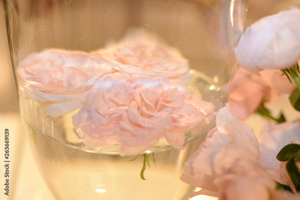 Fototapeta premium rose in a glass