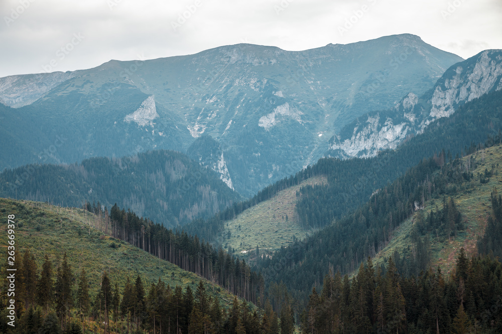 Fototapeta premium National Park High Tatra