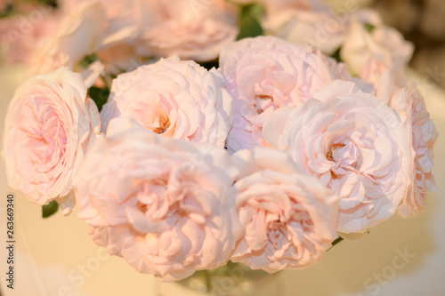 bouquet of pink roses