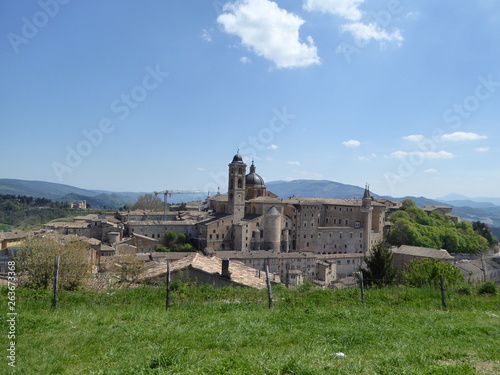 Urbino