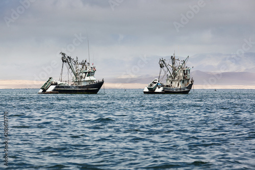 fishing boats in the bay
