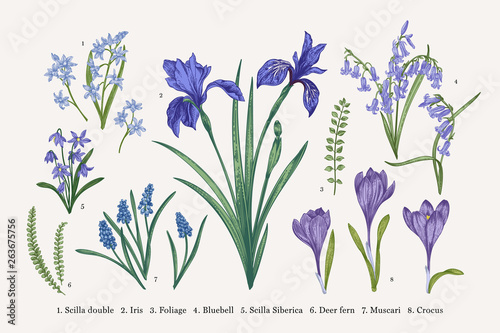 Set with spring flowers.