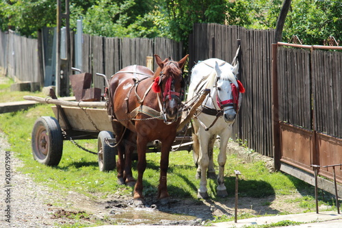 Pferdefuhrwerk Rumänien © Jogerken