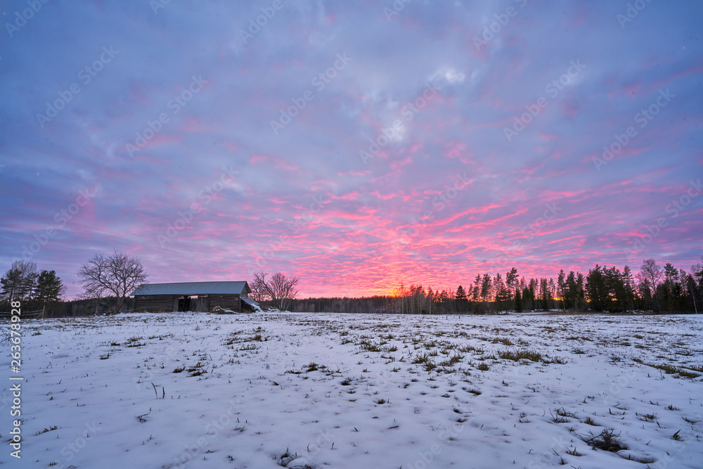 Pink sunset