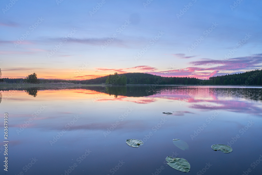 Purple Reflections