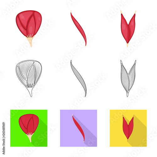 Vector design of fiber and muscular sign. Set of fiber and body  stock vector illustration.
