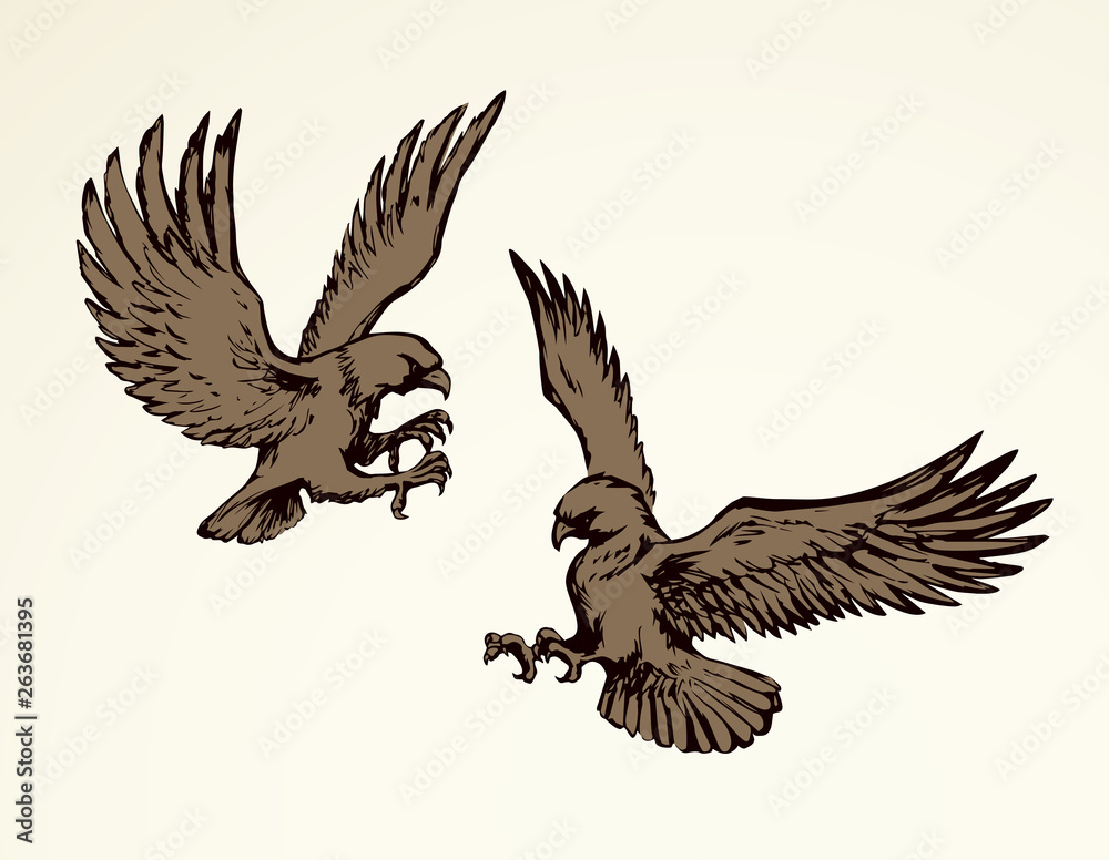 Obraz premium Eagle. Vector drawing