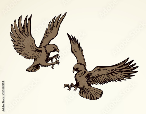 Eagle. Vector drawing