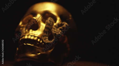 A snake in a golden skull