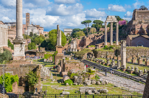 The Roman Forum in a sunny day. Rome, Italy.