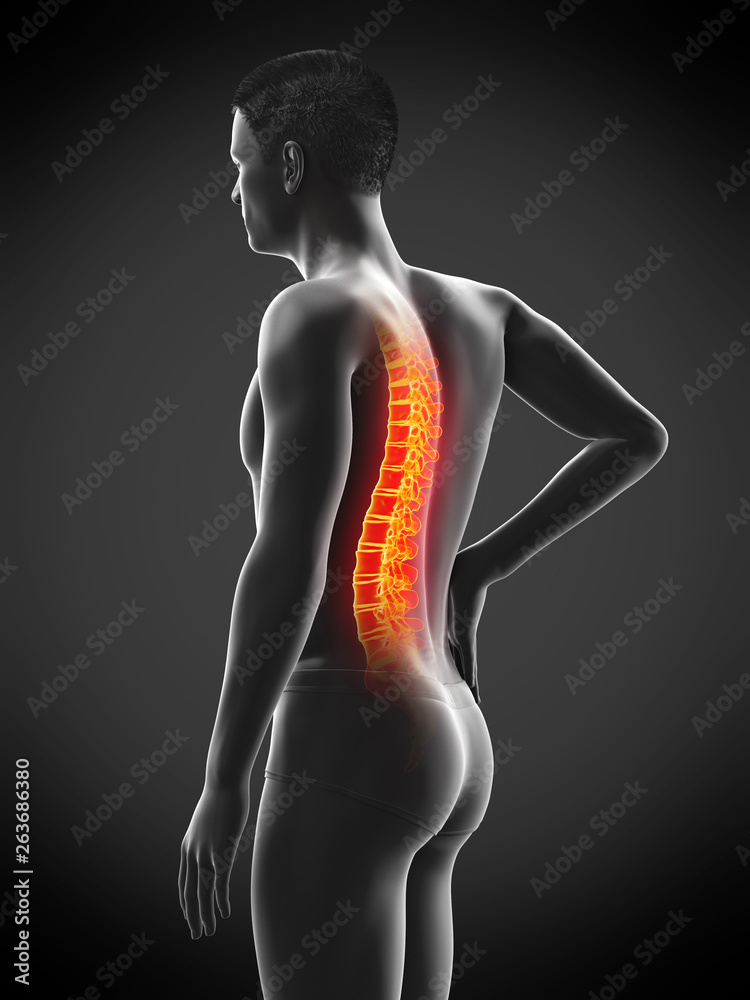 3d rendered medically accurate illustration of a mans painful back 3d rendered medically accurate illustration of a mans painful back
