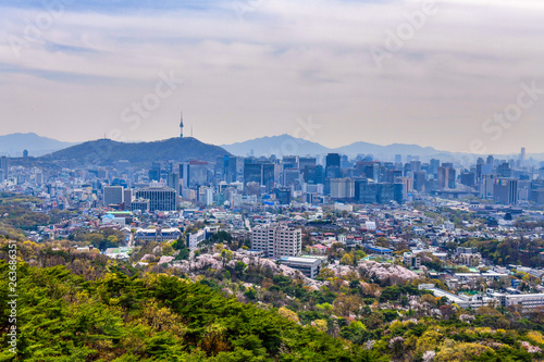 Canvas Print seoul city in spring south korea
