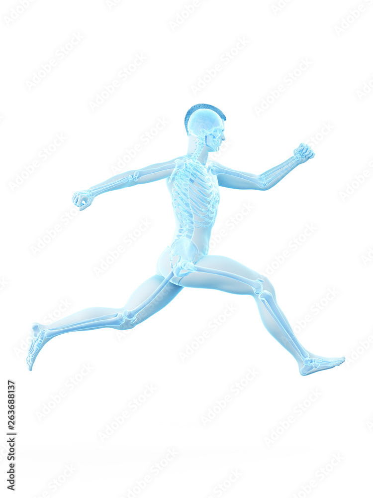 3d rendered medically accurate illustration of a man running 3d rendered medically accurate illustration of a man running
