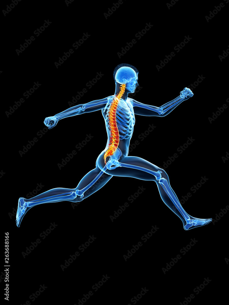 3d rendered medically accurate illustration of a runners painful back 3d rendered medically accurate illustration of a runners painful back