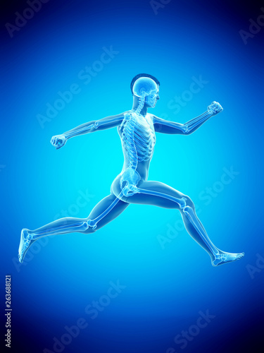 3d rendered medically accurate illustration of a man running © Sebastian Kaulitzki