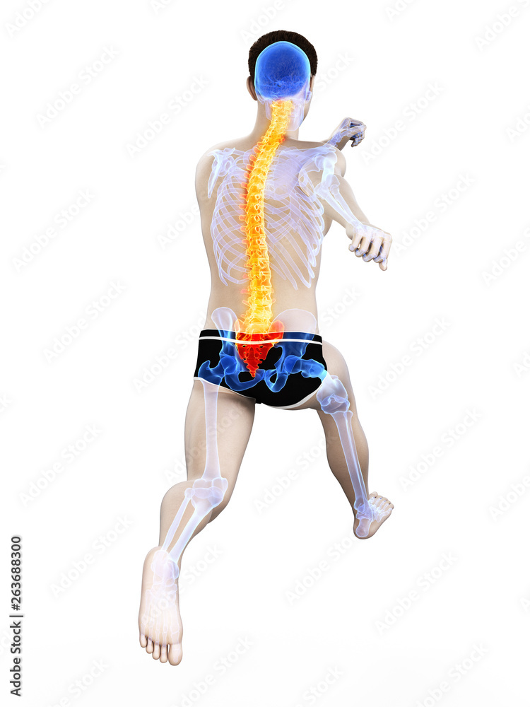3d rendered medically accurate illustration of a runners painful back 3d rendered medically accurate illustration of a runners painful back