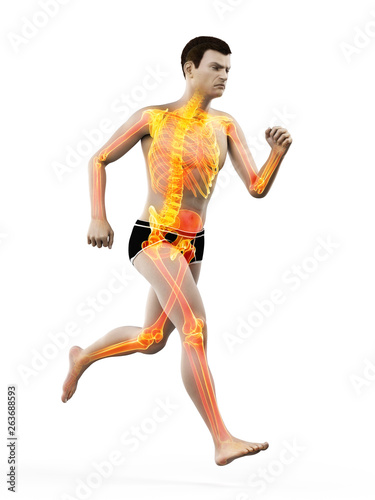 3d rendered medically accurate illustration of a runners skeleton