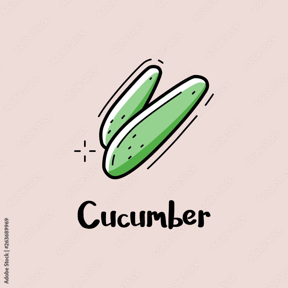 Cucumber. Vector illustration for cafe decoration. Cucumber. Vector illustration for cafe decoration.