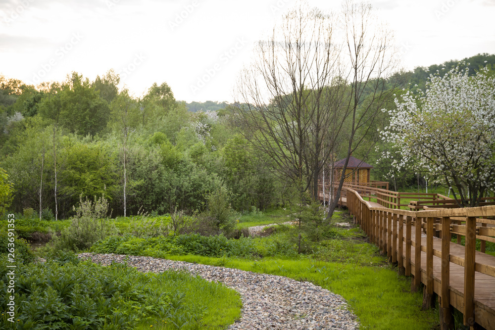 Wooden paths in the park with blooming white apple trees in the background. Spring in the park Wooden paths in the park with blooming white apple trees in the background. Spring in the park