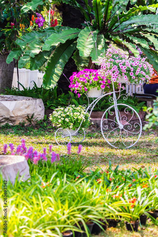 Vintage white bike and flower pot decoration in cozy home flowers garden on summer.  