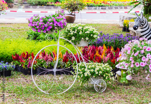 Vintage white bike and flower pot decoration in cozy home flowers garden on summer. 