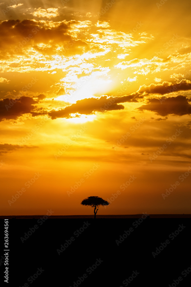 Beautiful sunset with a lone tree on the savannah