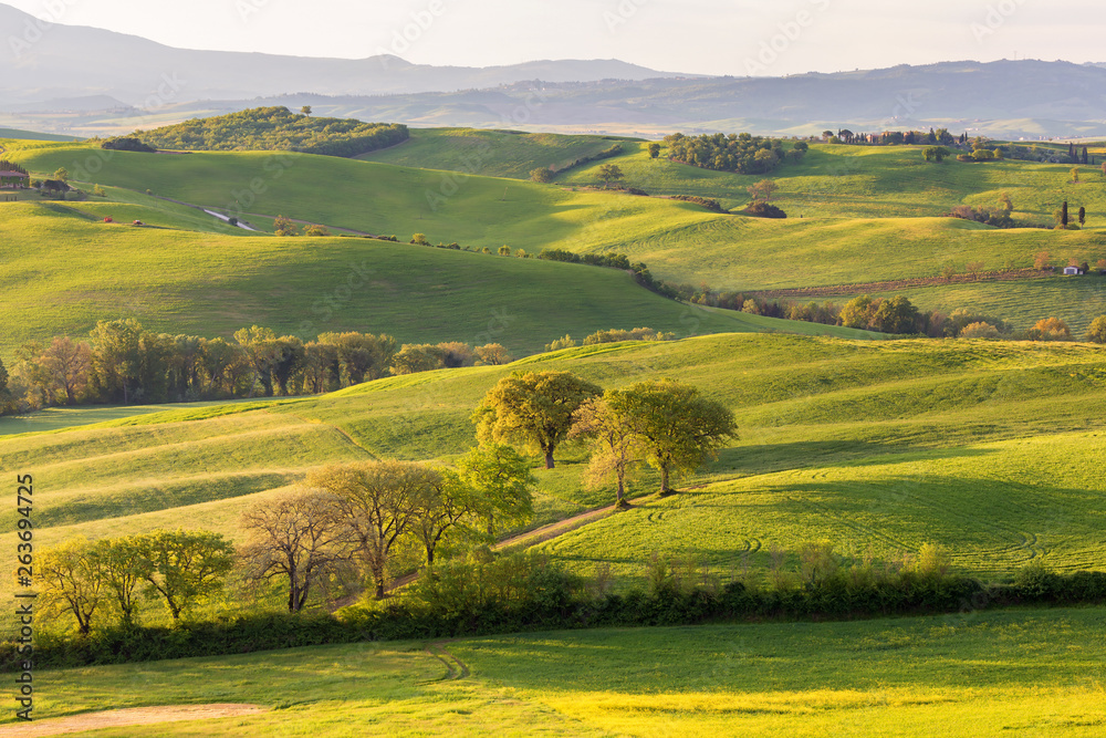 Rolling Landscape with hills and fields in Tuscany - obrazy, fototapety, plakaty 