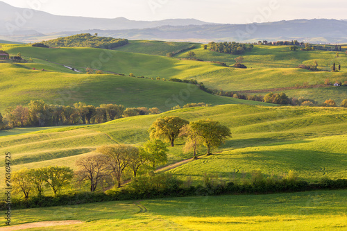 Rolling Landscape with hills and fields in Tuscany